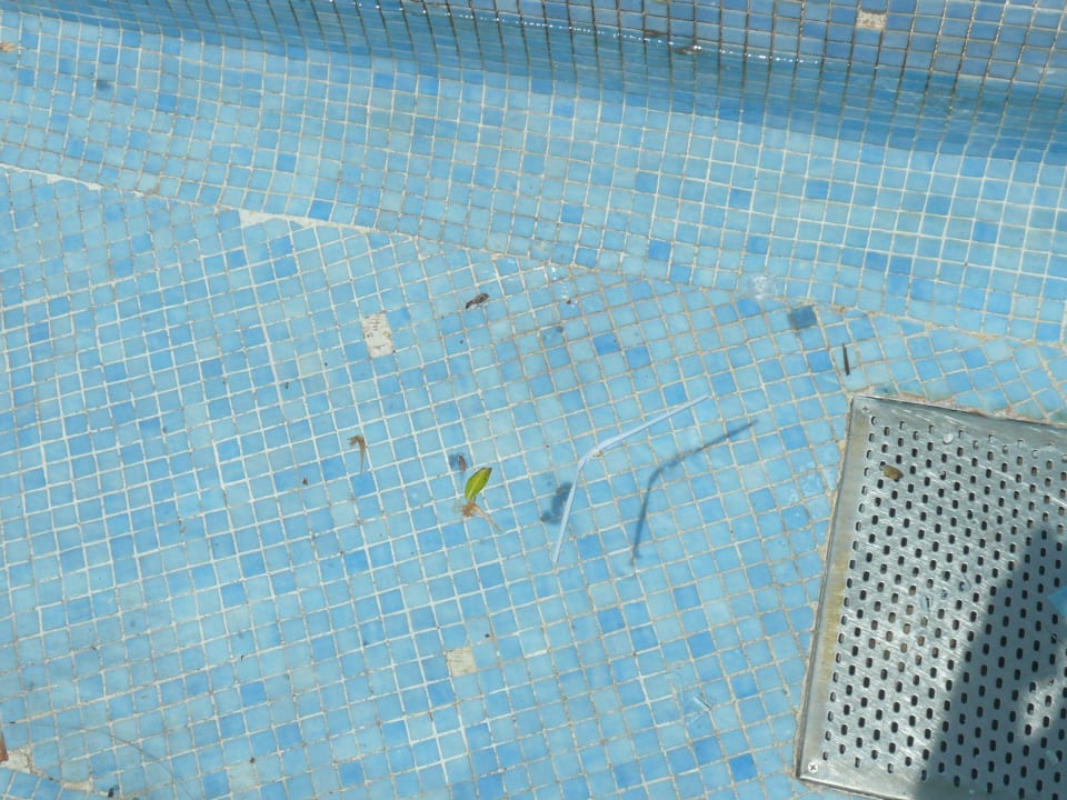 Überlaufbecken waren immer verschmutzt Cleopatra Luxury Resort Makadi Bay