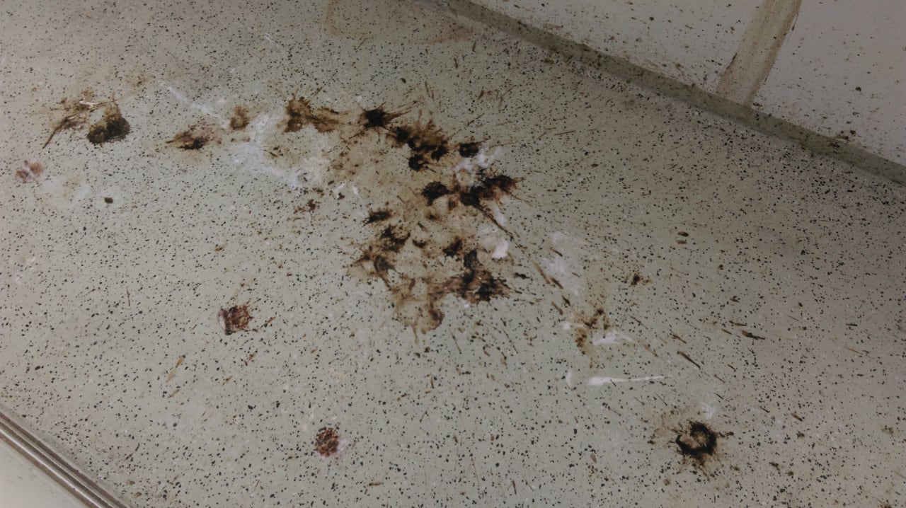 Zimmer Ferienwohnungen Ferienpark Weissenhäuser Strand