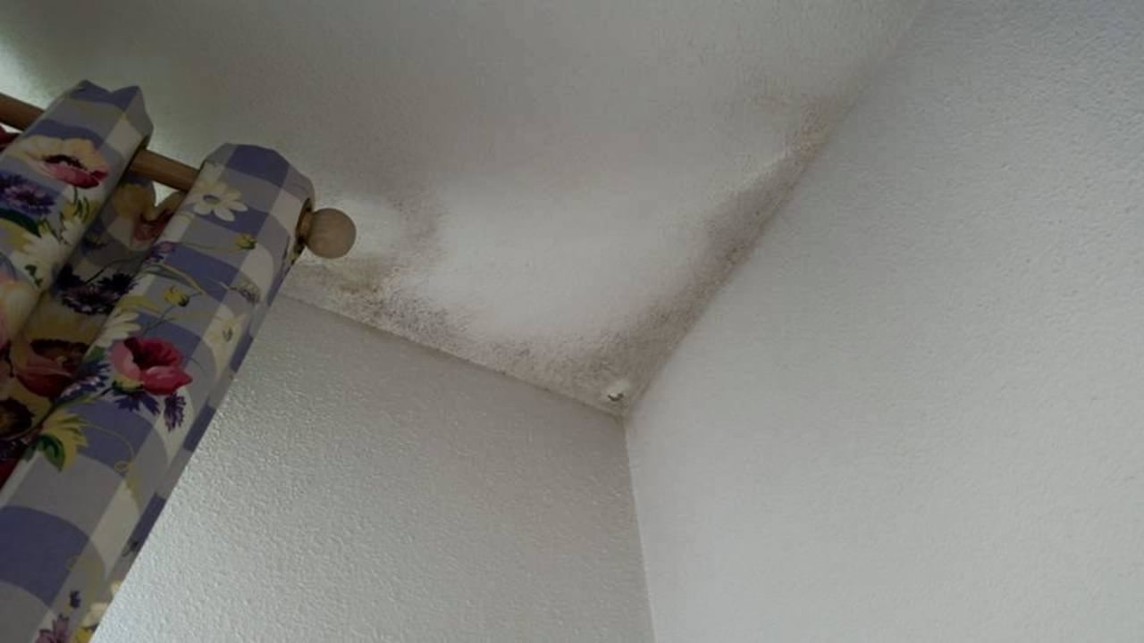 Schimmel Campanile Val de France