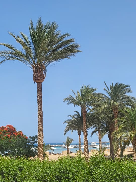 Gartenanlage Titanic Beach Spa & Aqua Park