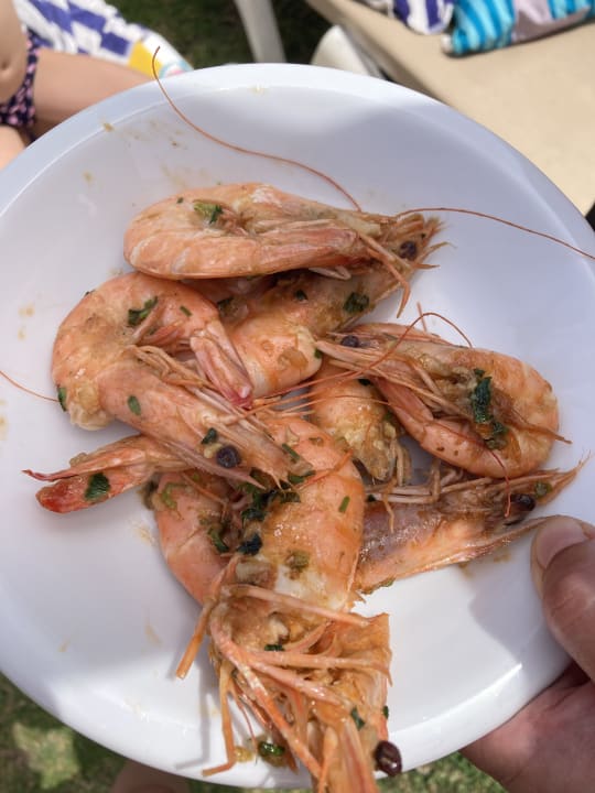 Gastro Mahdia Beach & Aquapark