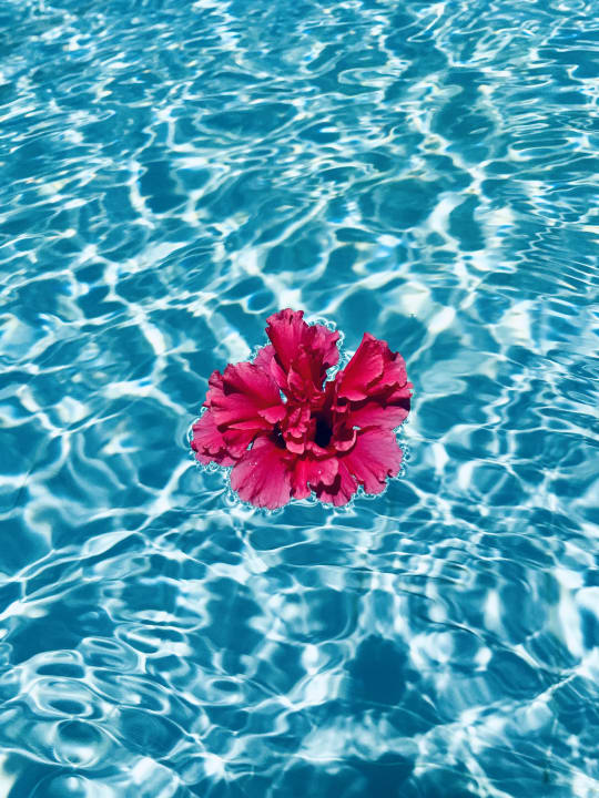 Pool Meliá Península Varadero