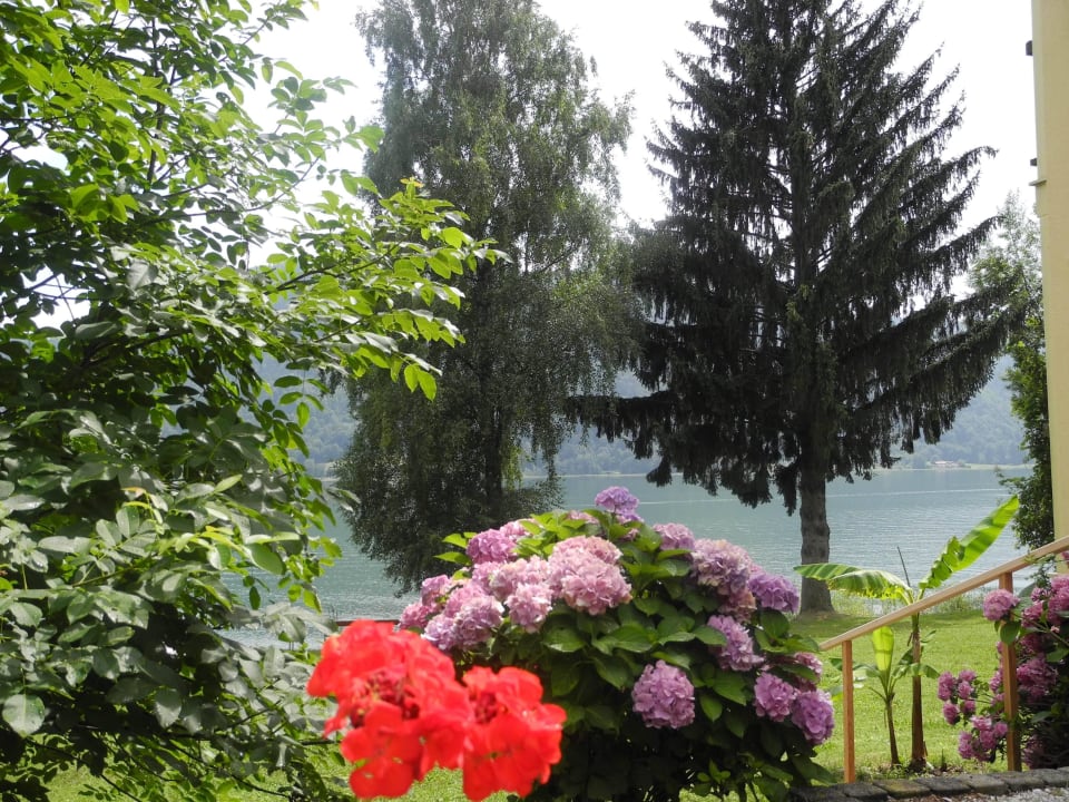 Idylle direkt am See Seehotel Birkenhof