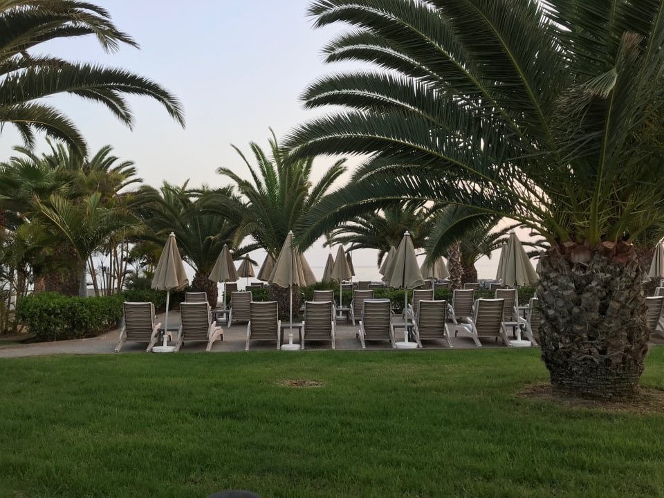 Gartenanlage Hotel Riu Palace Tenerife