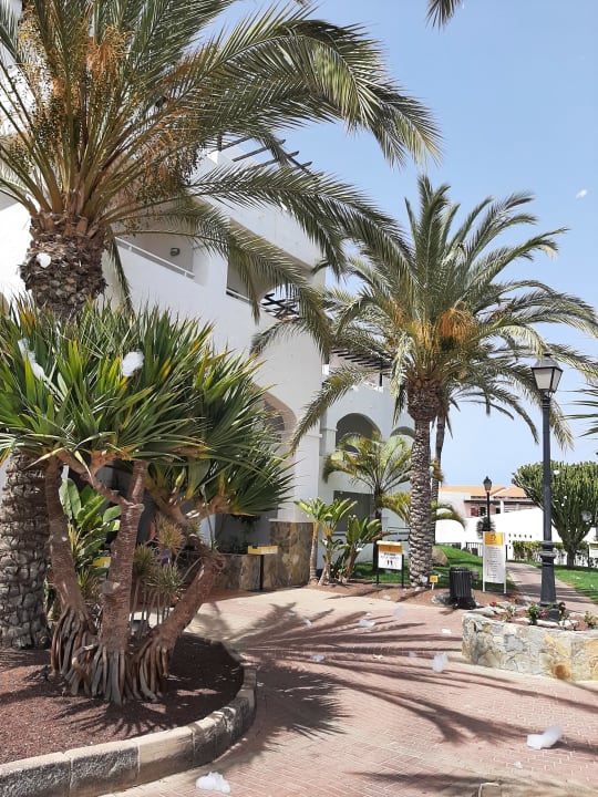 Gartenanlage TUI MAGIC LIFE Fuerteventura