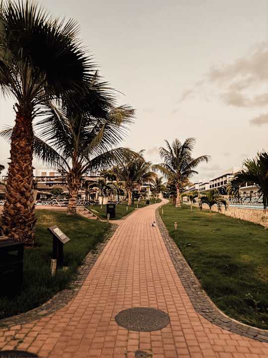 Gartenanlage Meliá Laguna Beach