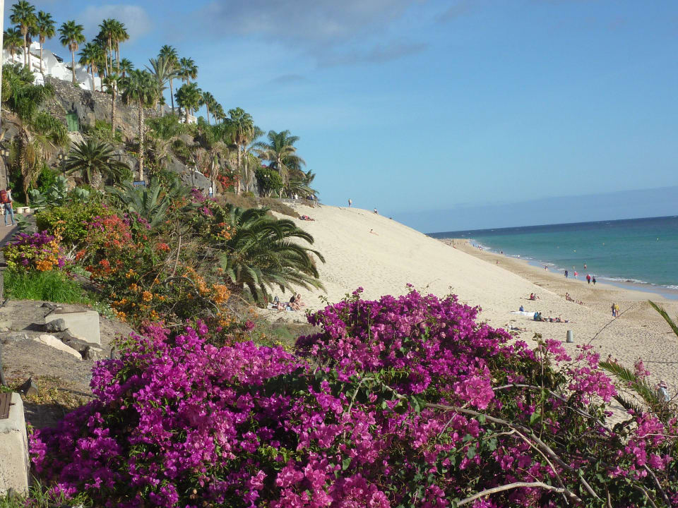 An der Promenade von Mooro Hotel Riu Palace Jandia
