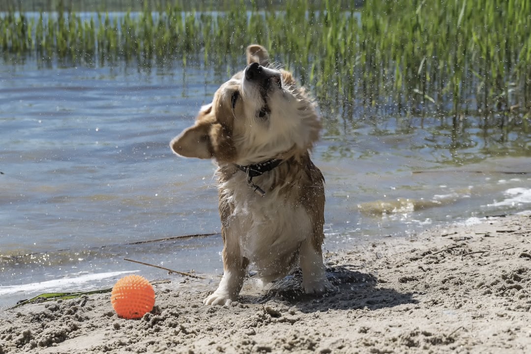 Badevergnügen am Strand Amy's Wohlfühlvilla