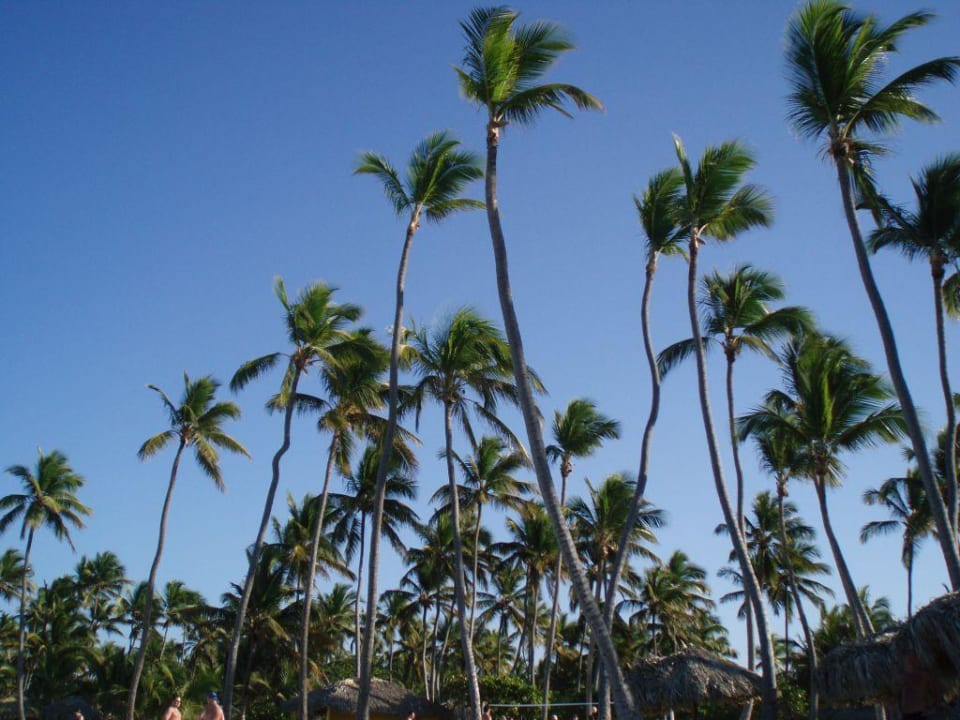 Strand Grand Palladium Select Bávaro Resort & Spa