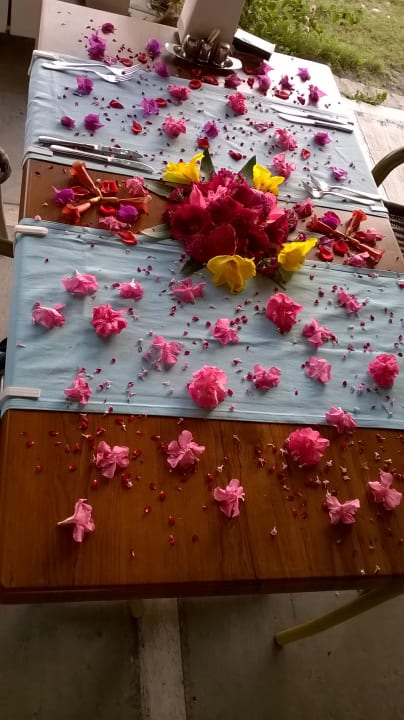 Sonstiges Dogan Paradise Beach