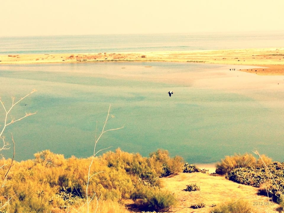 Naturstrand - hinten der Sandstrand - Punkt = Boot ROBINSON QUINTA DA RIA