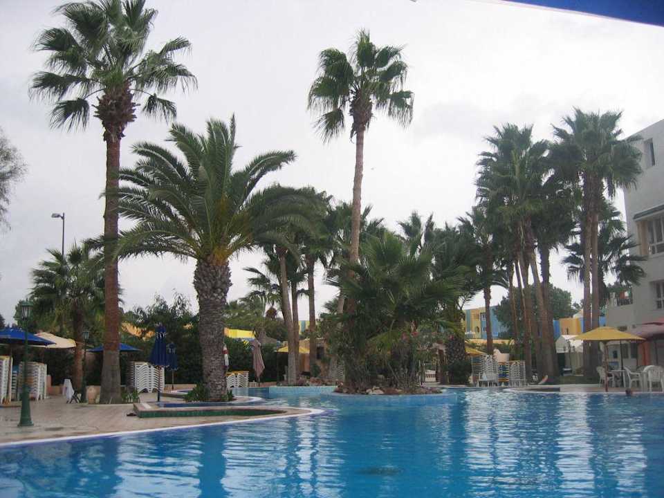 Pool Hotel Nesrine