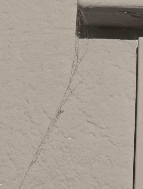 Zimmer Fletcher Hotel-Restaurant De Burghoeve