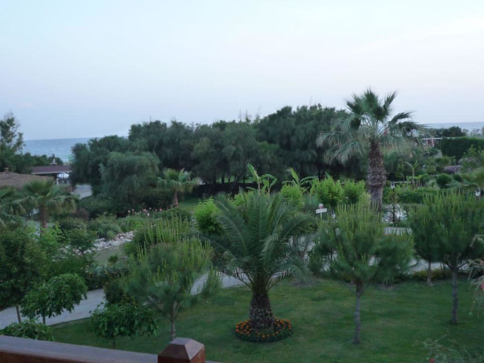 Außenanlage Bella Resort & Spa