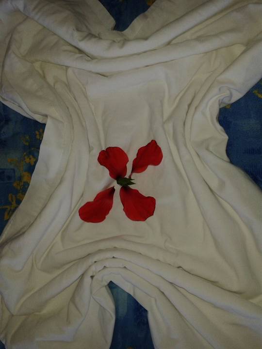 Zimmergestaltung Hotel Nesrine