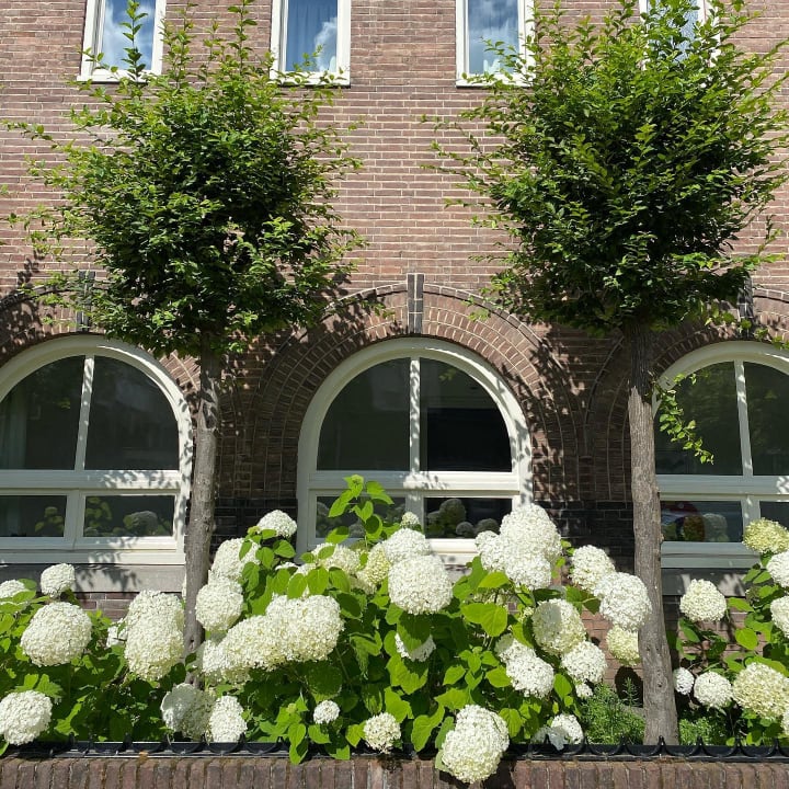 Außenansicht Kloosterhotel de Soete Moeder