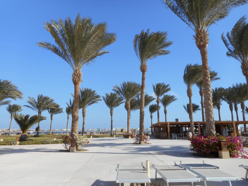 Blick zum Strand Stella Beach Resort & Spa Makadi Bay