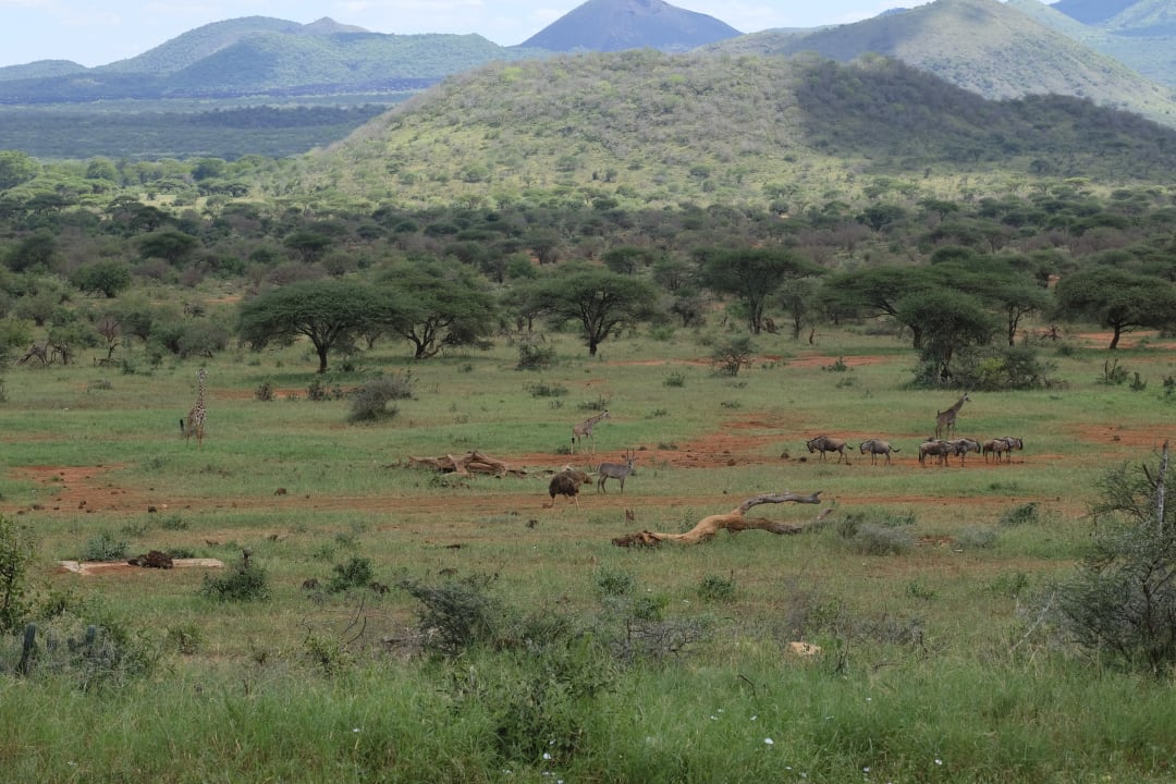 Ausblick Kilaguni Serena Safari Lodge