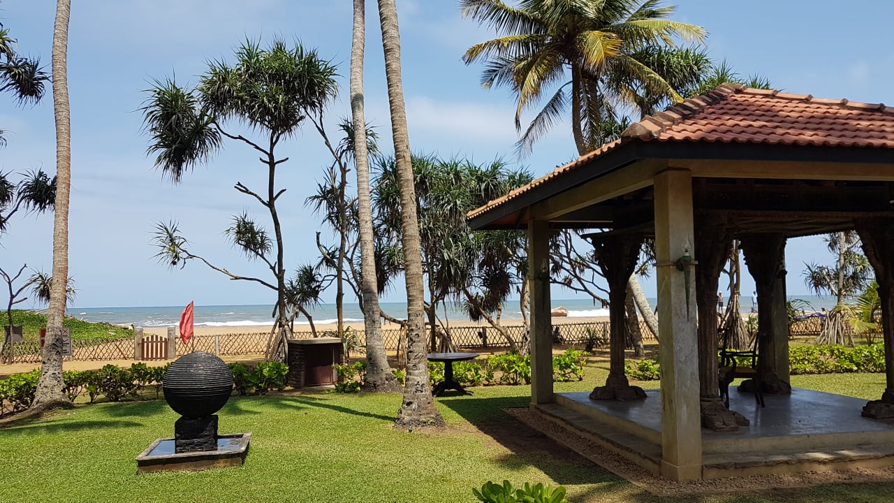 Gartenanlage Royal Palms Beach Hotel