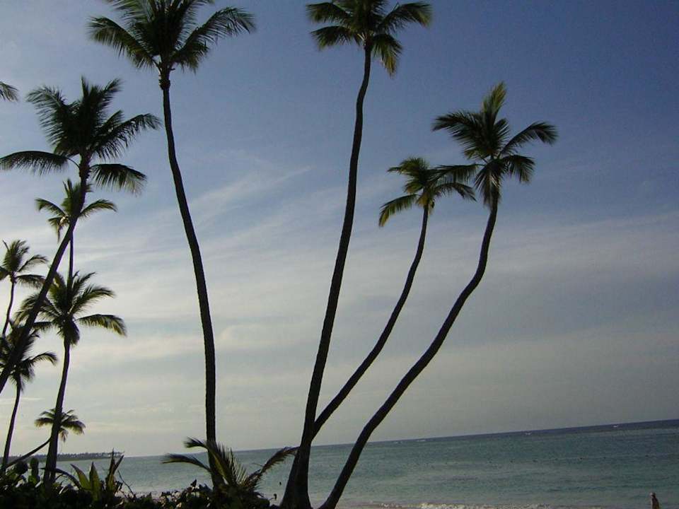 Dämmerung Grand Palladium Select Bávaro Resort & Spa