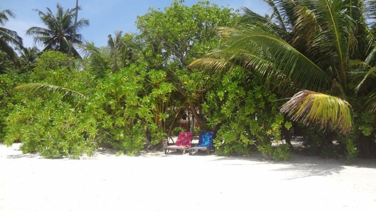 Kuredu Island - Nordstrand (etwa Mitte der Insel) Kuredu Island Resort & Spa