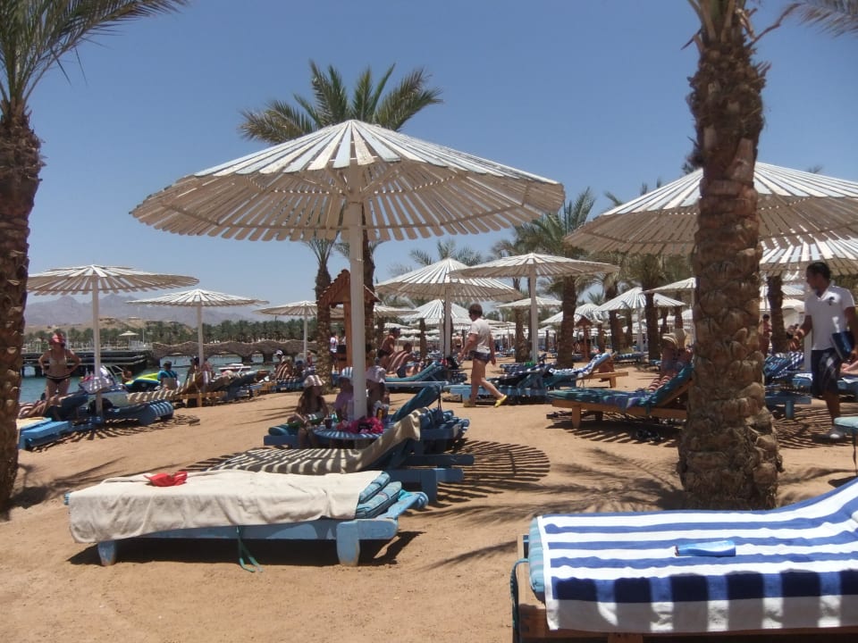 Strand Albatros Sharm Resort