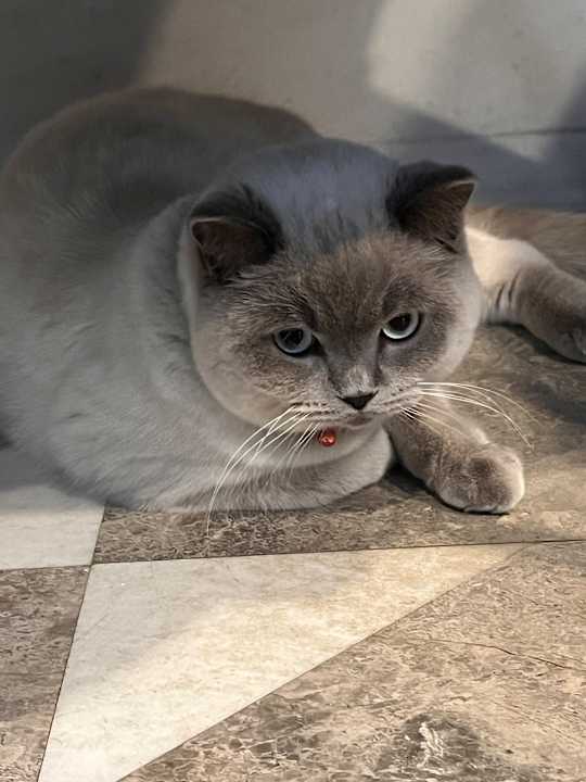 Sonstiges Arnor de Luxe Hotel & Spa