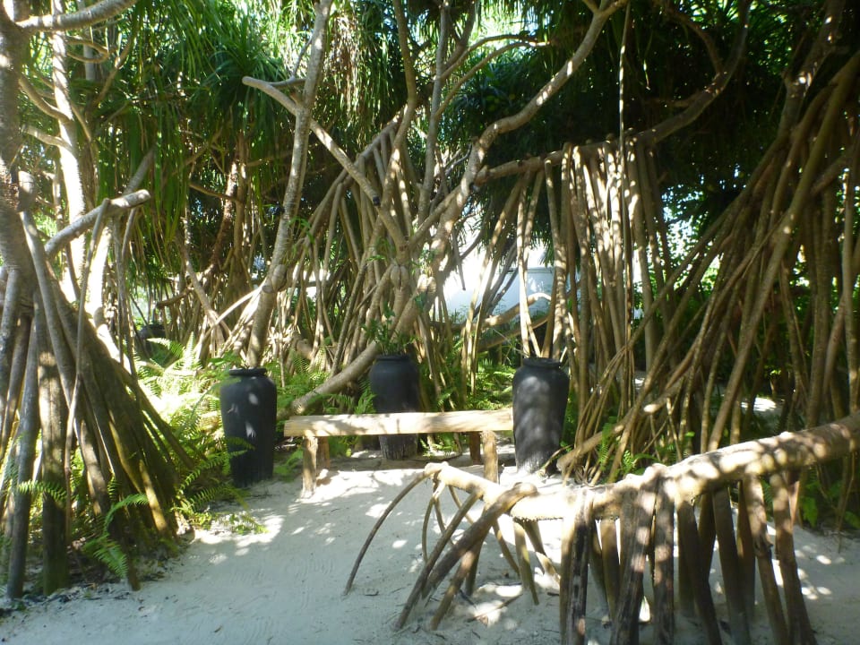 Dschungel Sun Siyam Iru Fushi