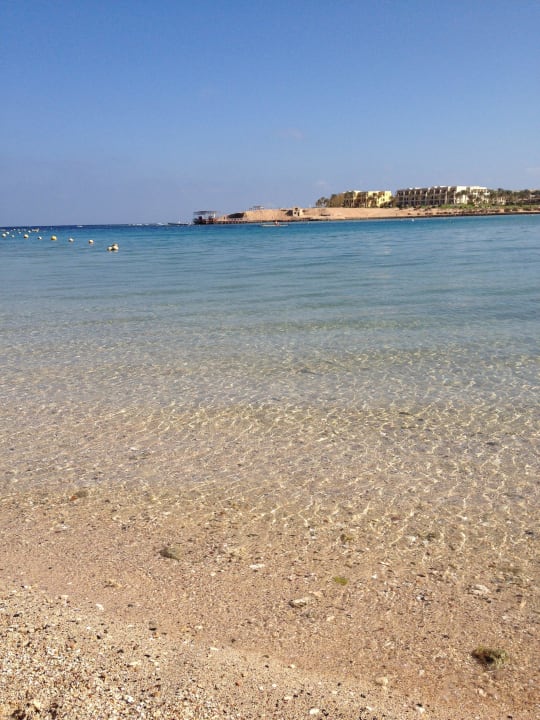 Glasklares Wasse Steigenberger Coraya Beach - Adults only