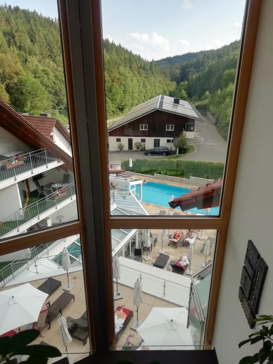 Ausblick Naturparkhotel Adler