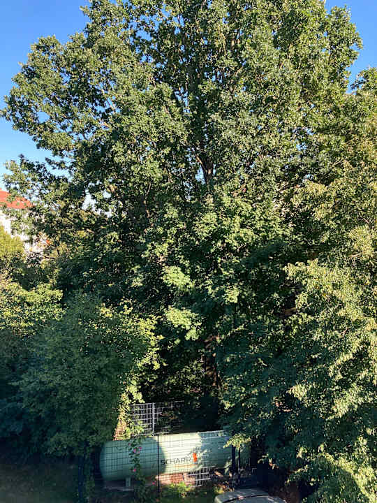 Außenansicht Best Western Hotel Windorf