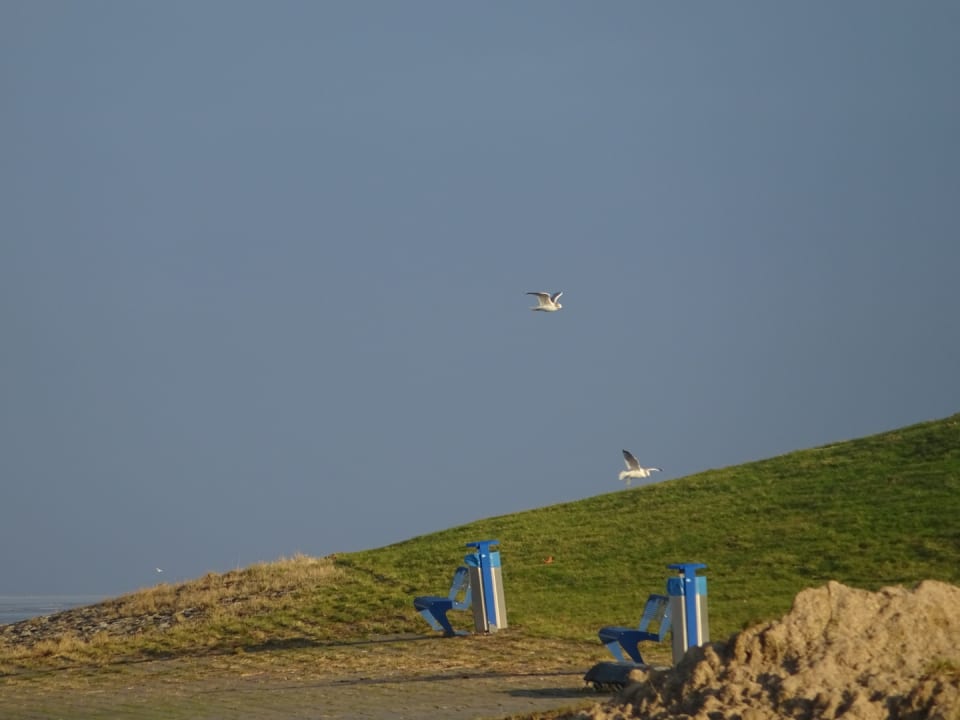 Strand  Center Parcs Park Nordseeküste