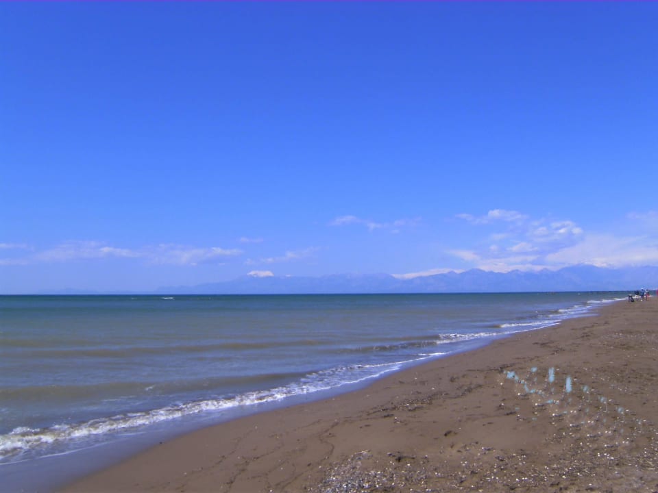 Strandausblick Papillon Belvil