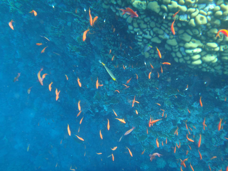 Strand Casa Mare Resort