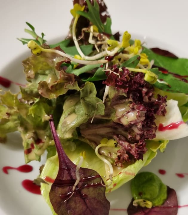 Gastro Parkhotel Waldlust