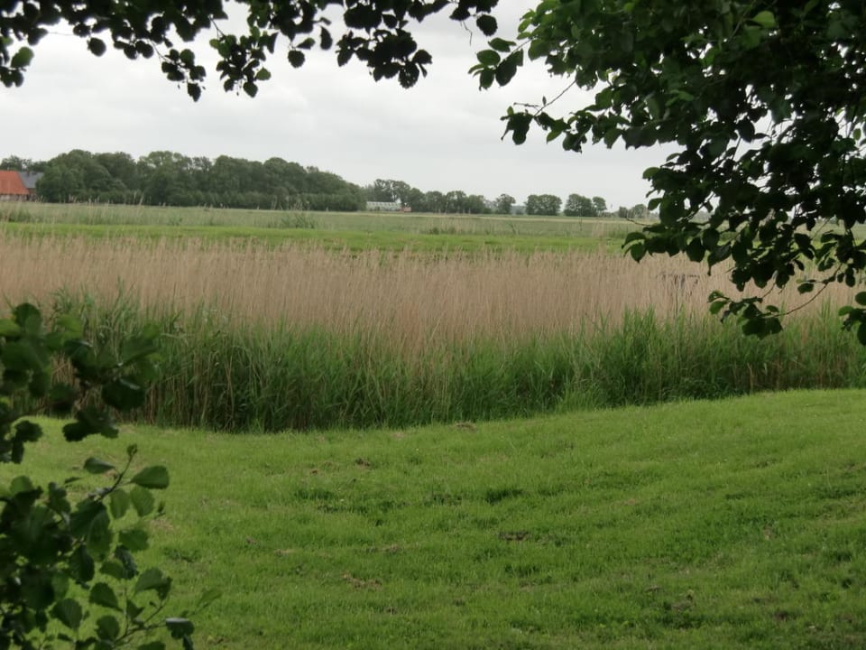 Ausblick von der Bungalow Rückseite Center Parcs Park Nordseeküste