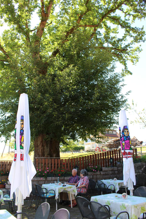 Gartenanlage Hotel Landgasthof Zum Pflug