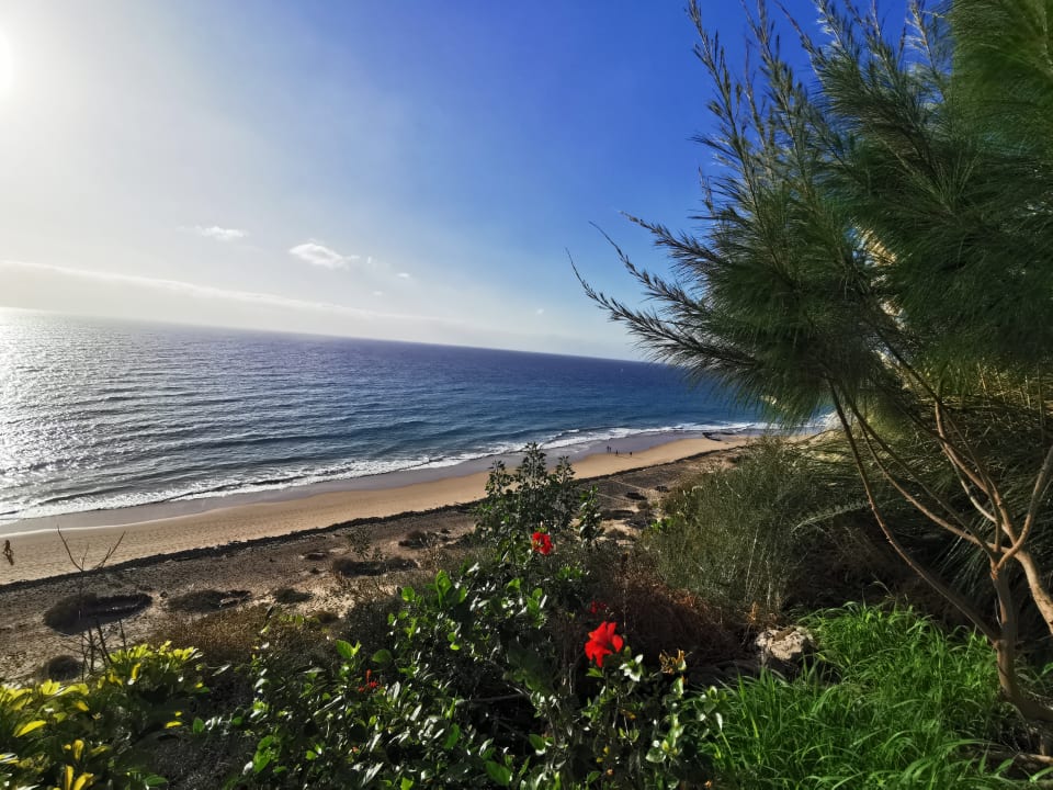 Strand Marina Playa Suite Hotel