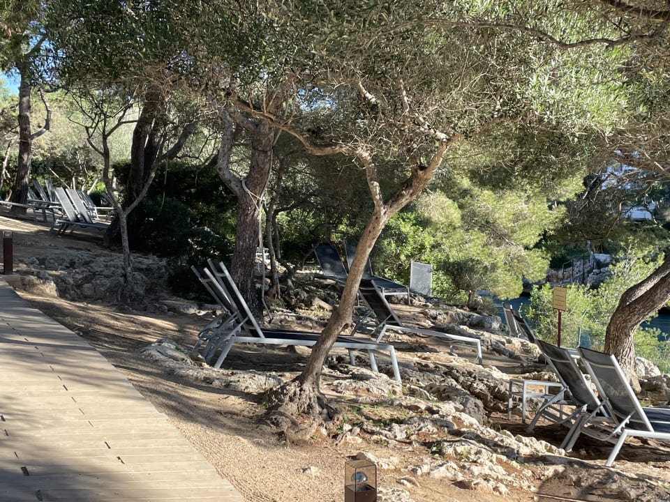 Außenansicht ROBINSON CALA SERENA