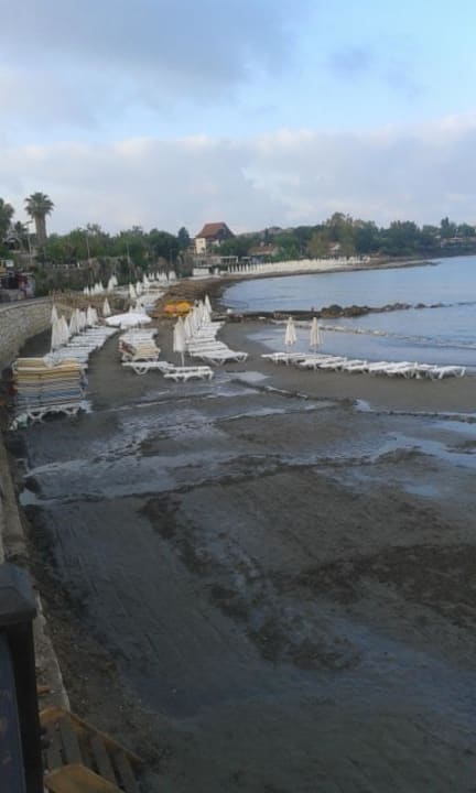 Der Strand wird weiter verbessert Side Altinkum Hotel