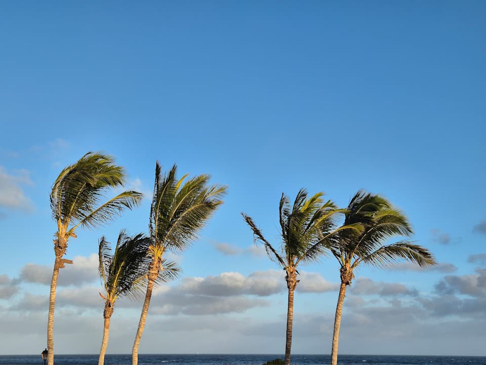 Zimmer Hotel Las Costas