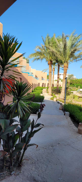 Außenansicht Club Paradisio El Gouna, Red Sea