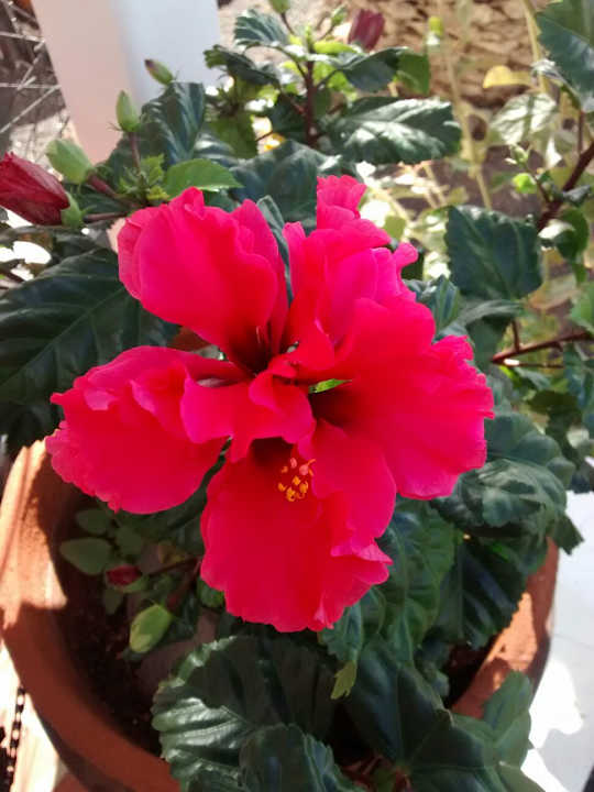 Sonstiges Apartment Casa Las Majadas