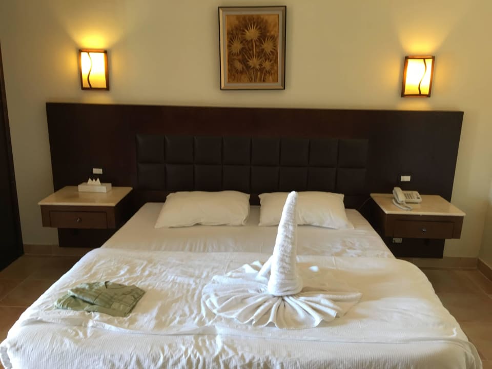 Großes Bett Zimmer 464 Pickalbatros Alf Leila Wa Leila Resort - Neverland Hurghada