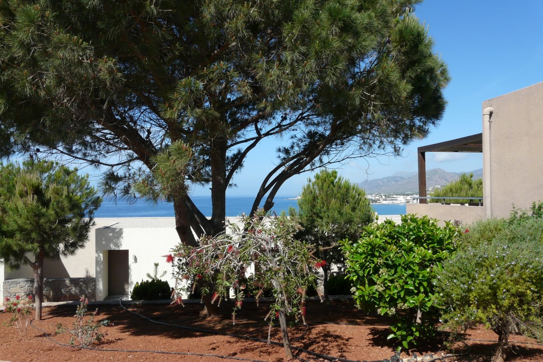 Gartenanlage Atlantica Mikri Poli Crete