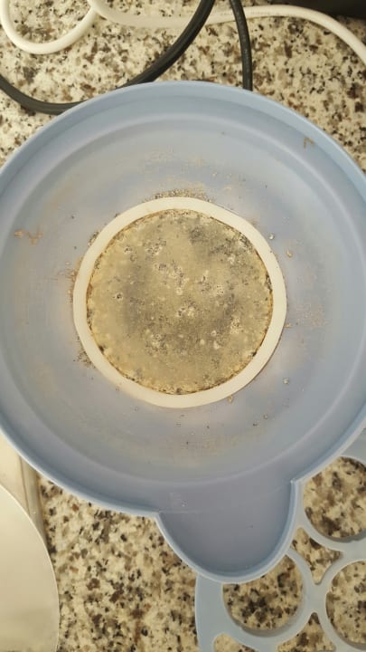 Zimmer Hotel Atlantic Beach Club