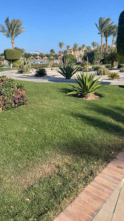 Gartenanlage JAZ Aquamarine Resort
