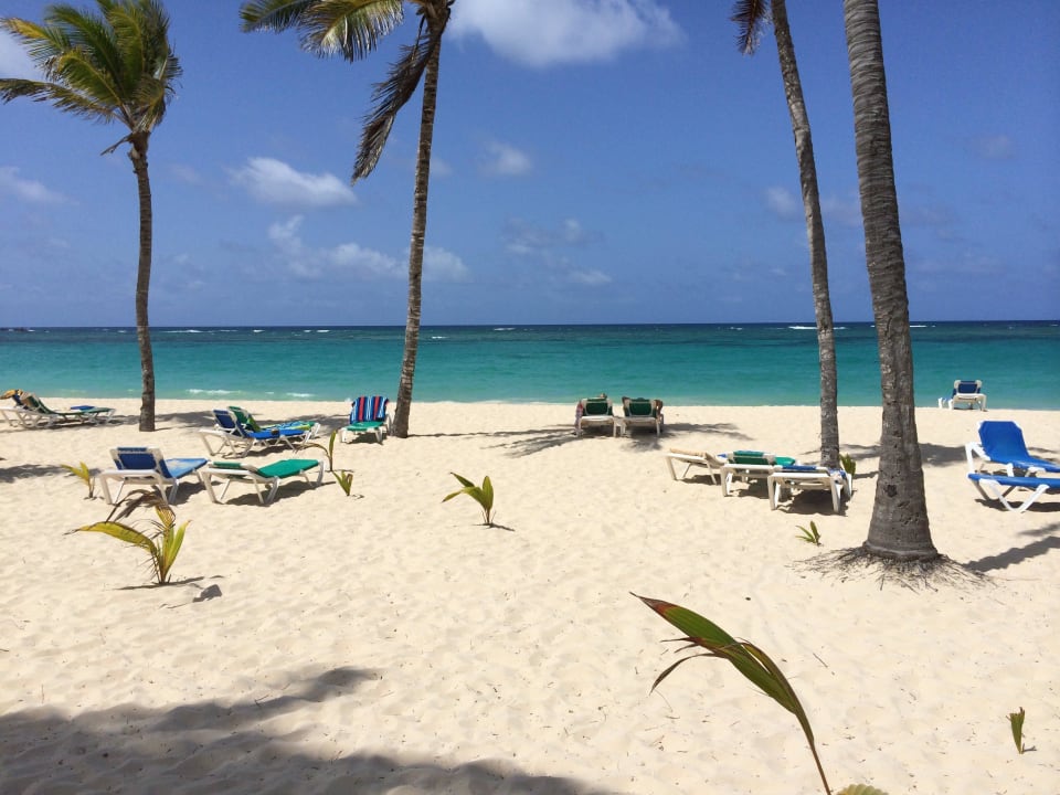 Das ist das Paradies Hotel Riu Palace Punta Cana