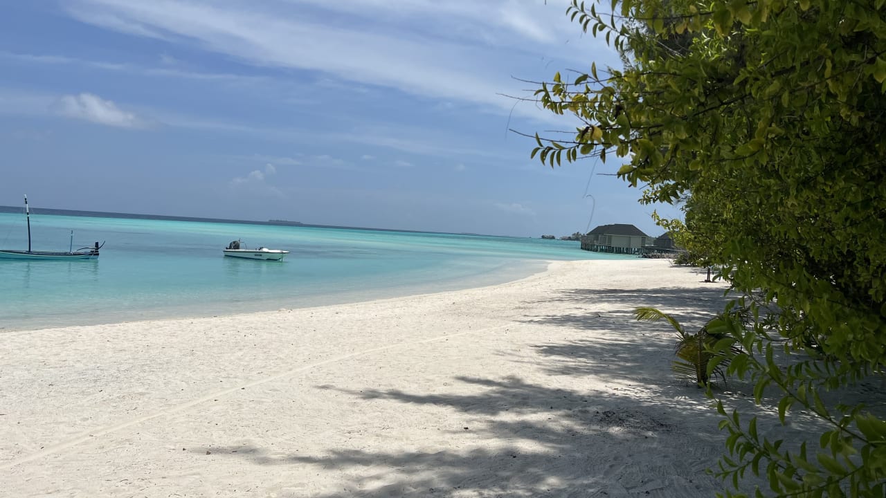 Strand Summer Island Maldives