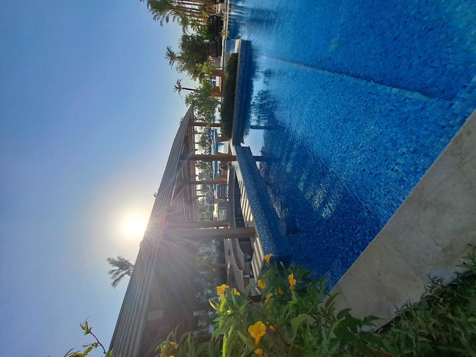 Pool The Grand Palace - Adults only